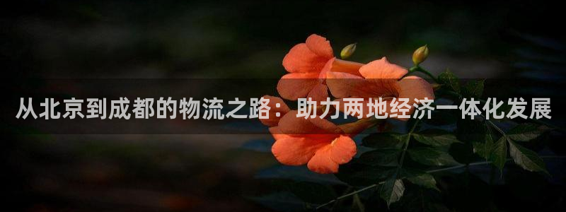 豪门国际加拿大6.0：从北京到成都的