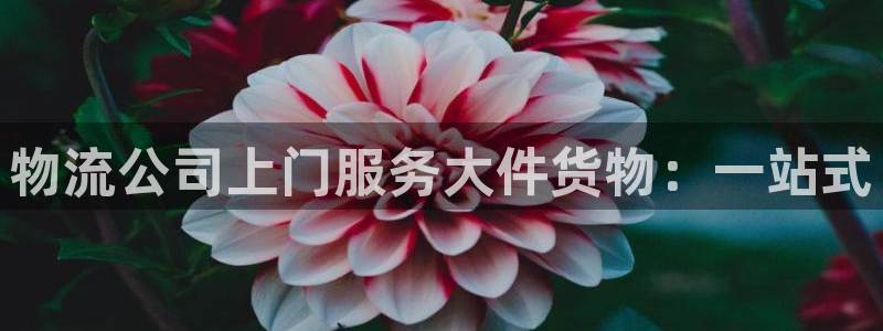 豪门国际绿骨头：物流公司上门服务大件