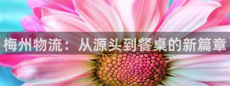 豪门国际人工客服电话是什么：梅州物流