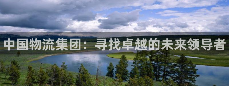 麻将1豪门国际：中国物流集团：寻找卓
