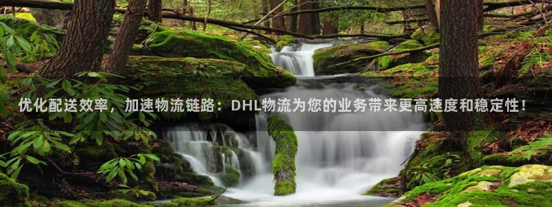 豪门国际下载链接是多少：优化配送效率