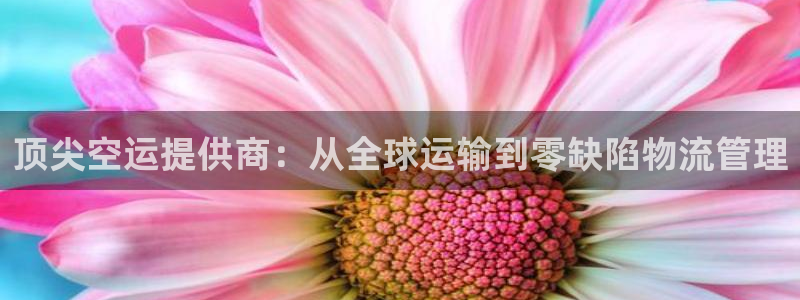 豪门国际最稳打法：顶尖空运提供商：从