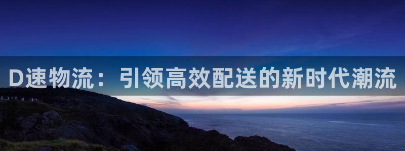 豪门国际退款教程：D速物流：引领高效