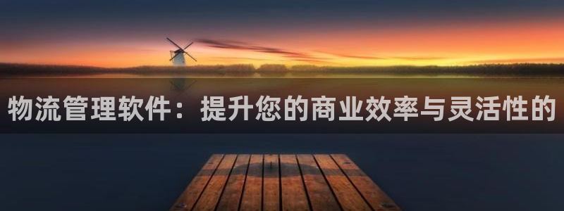 豪门国际违法吗：物流管理软件：提升您