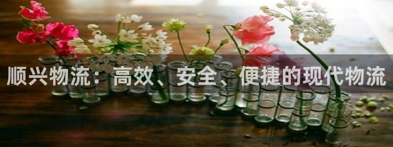 豪门国际模拟器下载：顺兴物流：高效、