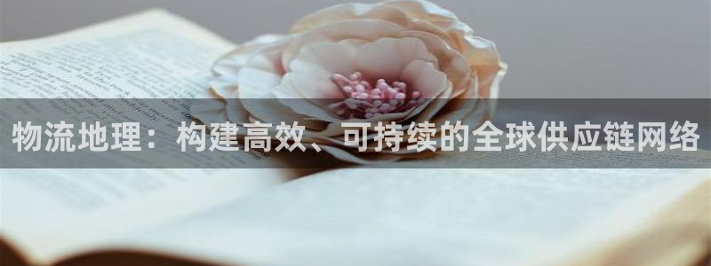 豪门国际在线预测官网：物流地理：构建