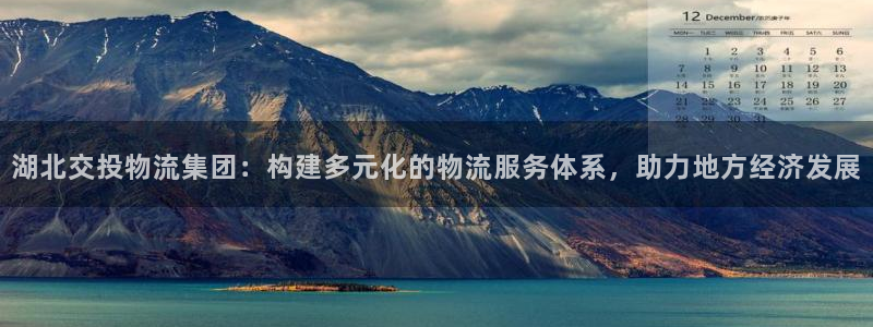豪门国际注册：湖北交投物流集团：构建