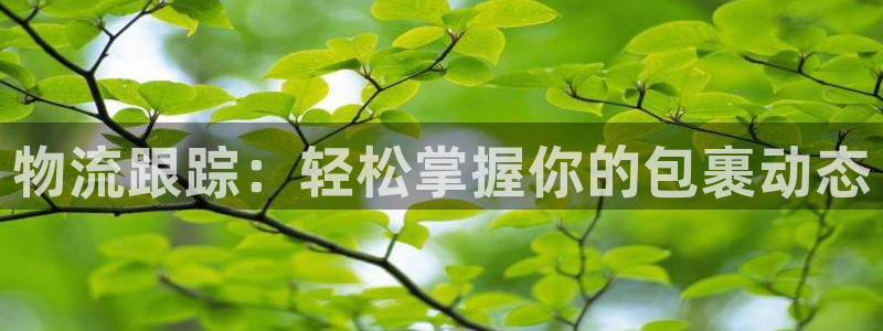 豪门国际相信品牌的力量：物流跟踪：轻
