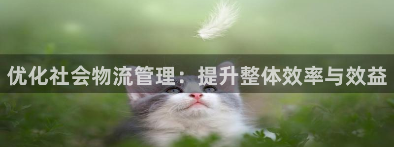 豪门国际注册与教程：优化社会物流管理