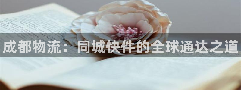 豪门国际能提现吗