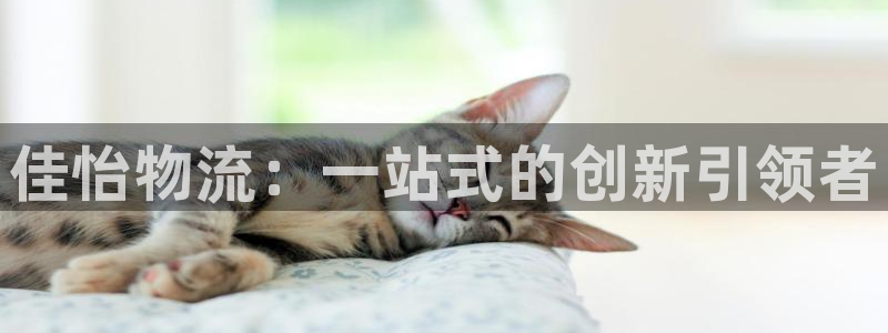 豪门国际如何看计划：佳怡物流：一站式