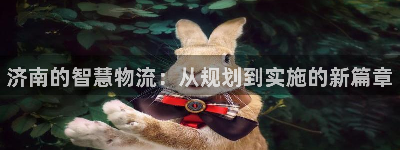 豪门国际充值：济南的智慧物流：从规划
