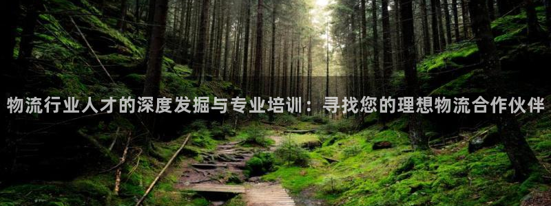 豪门国际正规吗：物流行业人才的深度发