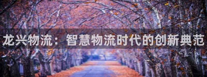 豪门国际登陆网：龙兴物流：智慧物流时