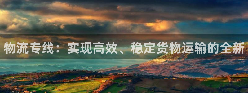 豪门国际充值不处理：物流专线：实现高