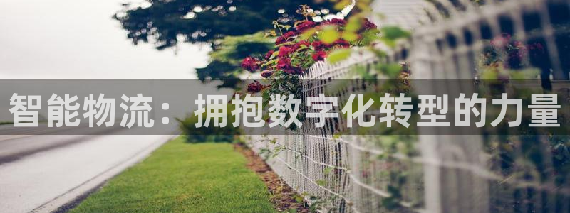 豪门国际大神预测：智能物流：拥抱数字