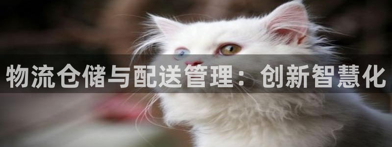 豪门国际体育下载：物流仓储与配送管理