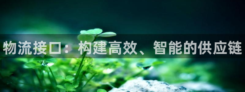豪门国际充值不处理怎么办：物流接口：