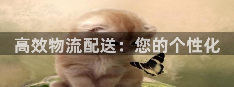 豪门国际充值不到账怎么回事：高效物流