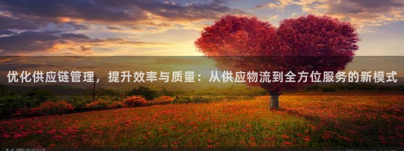 豪门国际黑钱：优化供应链管理，提升效