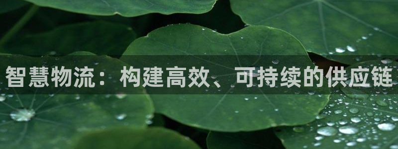 豪门国际游戏官网入口：智慧物流：构建