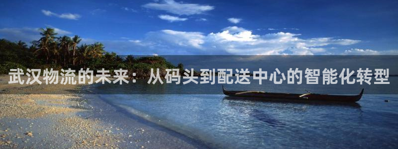 豪门国际加拿大下载：武汉物流的未来：