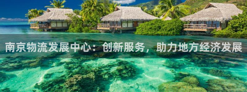豪门国际人头费：南京物流发展中心：创