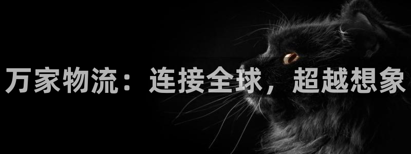 豪门国际注册入口与教程:万家物流:连