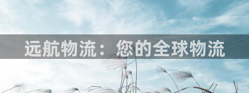 豪门国际官网下载：远航物流：您的全球物流